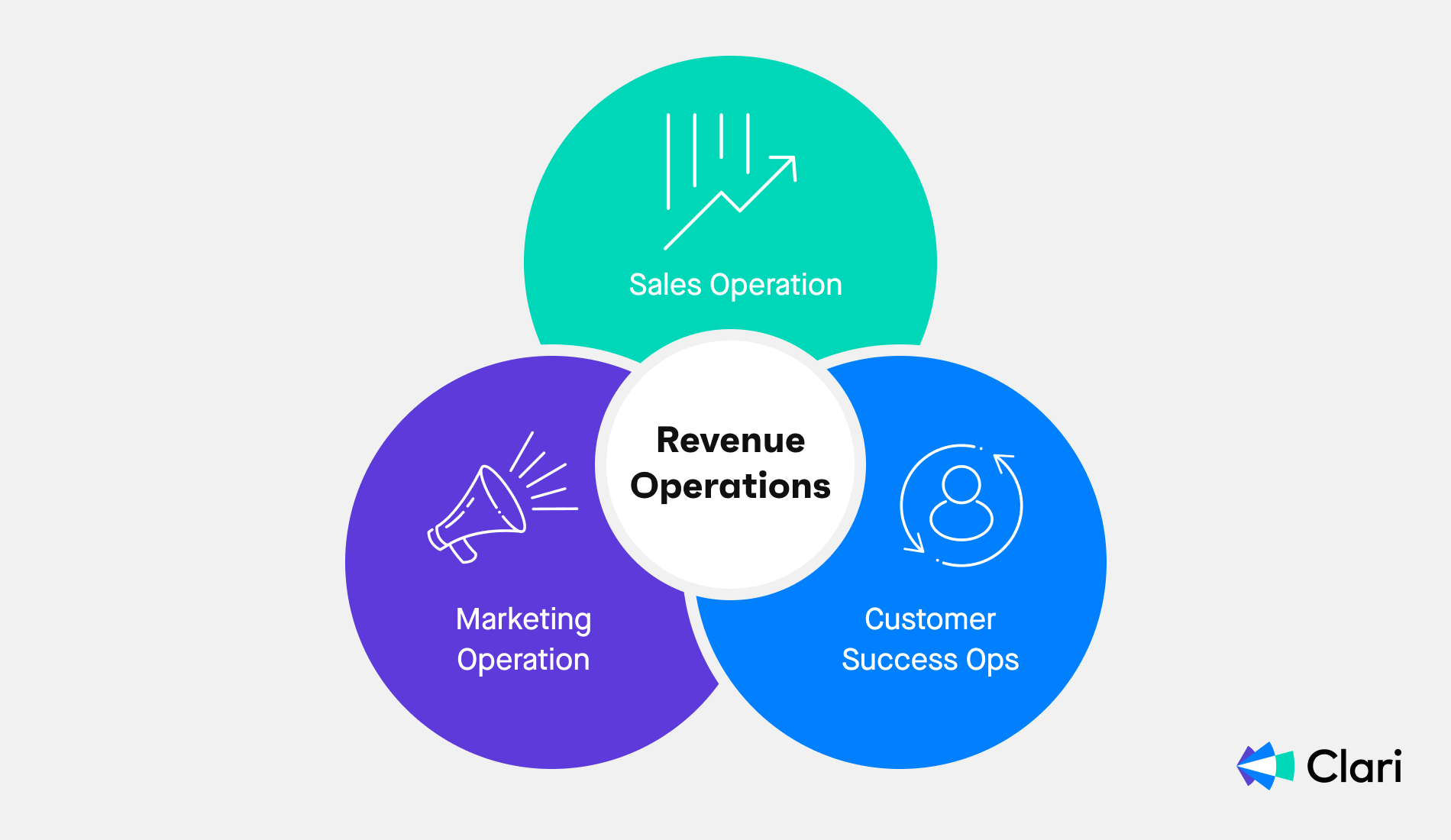 Revenue operations definition